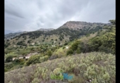 Terreno no urbanizable en venta en la España, Almuñécar, ref: TR408037 foto