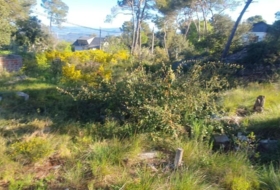 Foto 8