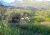 Terreny no urbanitzable en venda a la España, Priego de Córdoba, ref.: TR120856 foto