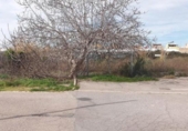 Parcela urbanizable en venta en la España, Sueca, ref: TR389869 foto