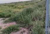 Terreno no urbanizable en venta en la España, Moncada, ref: TR402437 foto