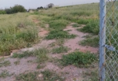 Terreno no urbanizable en venta en la España, Moncada, ref: TR402437 foto