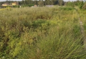 Terreno no urbanizable en venta en la España, Moncada, ref: TR402437 foto
