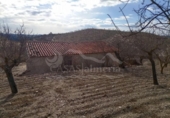 Casa de campo con terreno en venta en la España, Vélez-Rubio, ref: TR395720 foto