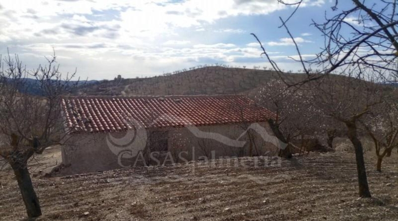 Almería - Vélez-Rubio - 23000m2