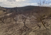 Casa de campo con terreno en venta en la España, Vélez-Rubio, ref: TR395720 foto
