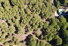 Córdoba 3000&nbsp;m²