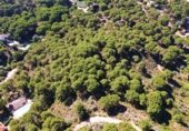 Casa amb terreny en venda a la España, Còrdova, ref.: TR300776 foto