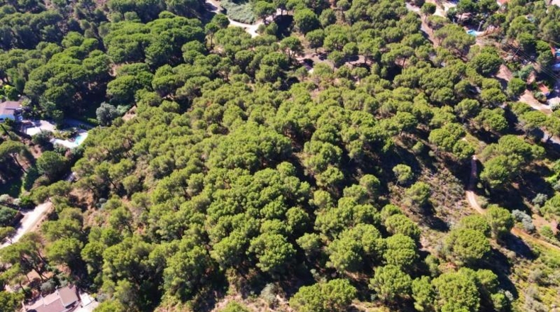 Córdoba - Córdoba - 3000m2