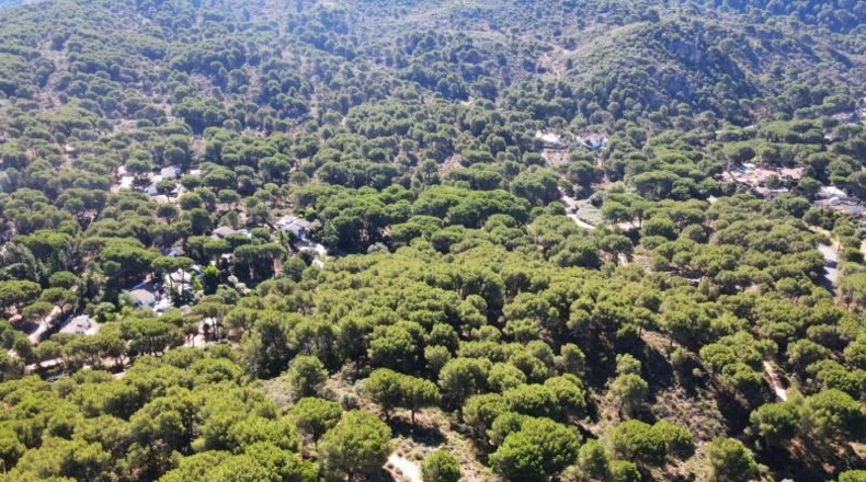 Córdoba - Córdoba - 3000m2
