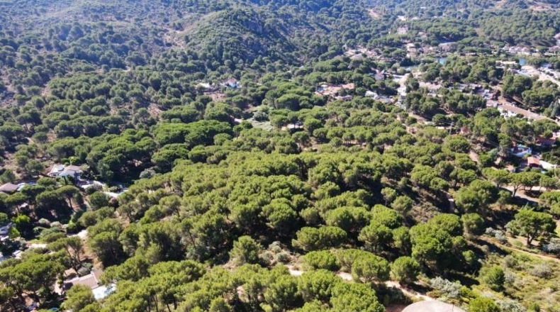 Córdoba - Córdoba - 3000m2