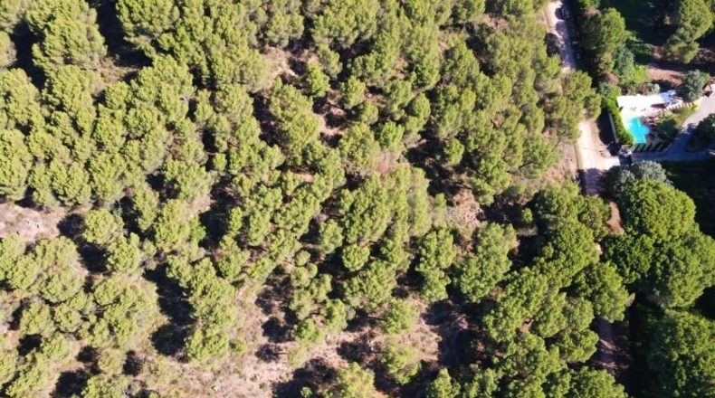 Córdoba - Còrdova - 3000m2