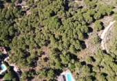 Casa amb terreny en venda a la España, Còrdova, ref.: TR295909 foto