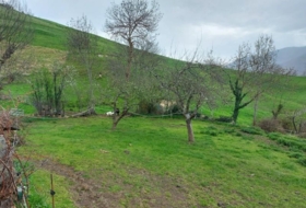 Camaleño 1031&nbsp;m²