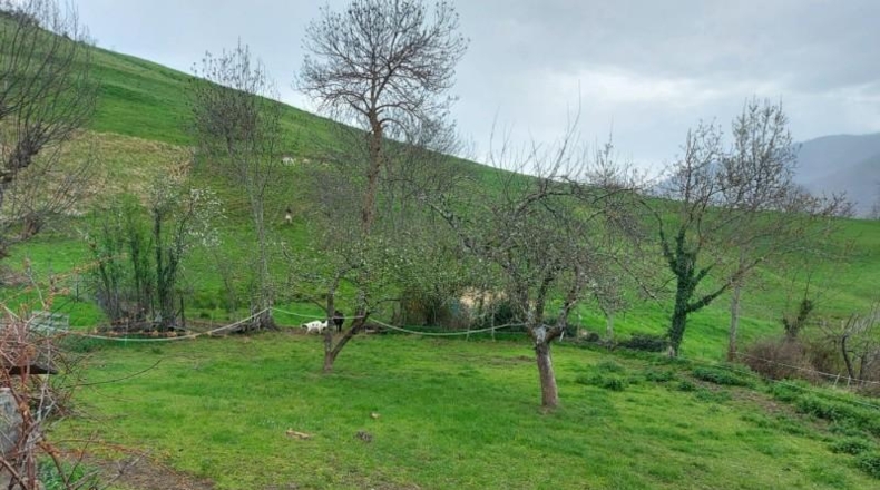 Cantabria - Camaleño - 1031m2