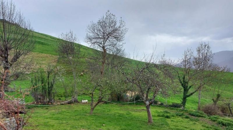 Cantabria - Camaleño - 1031m2