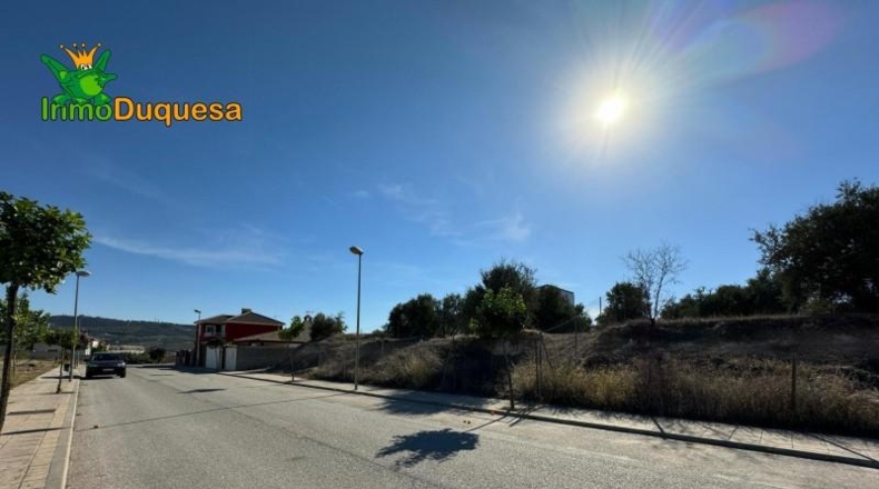 Guadalajara - Ciruelas - 400m2