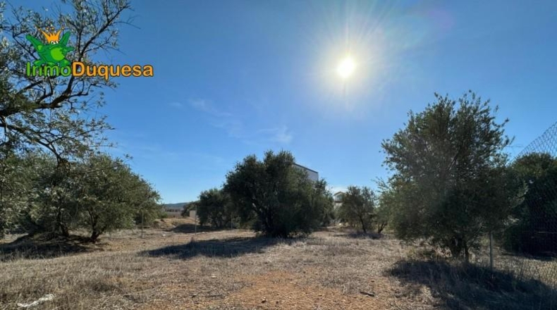 Guadalajara - Ciruelas - 400m2