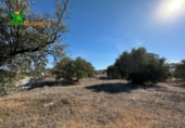 Suelo urbano en venta en la España, Atarfe, ref: TR395104 foto