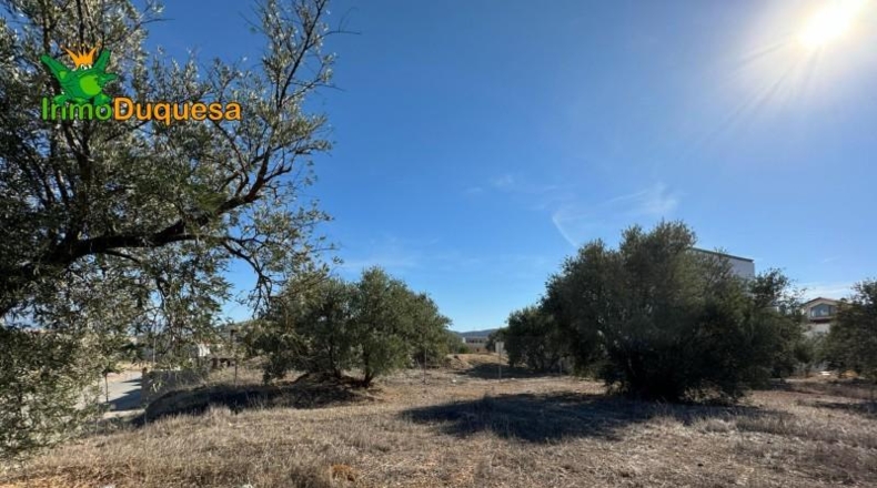 Guadalajara - Ciruelas - 400m2