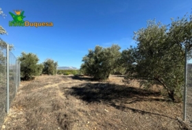 Atarfe 400&nbsp;m² 