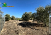Suelo urbano en venta en la España, Atarfe, ref: TR395104 foto