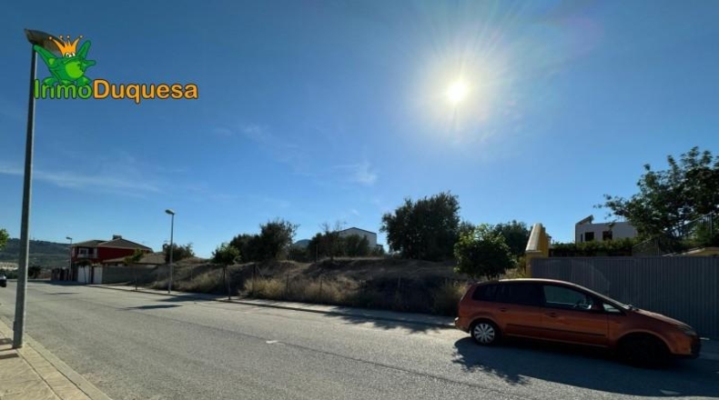 Guadalajara - Ciruelas - 400m2