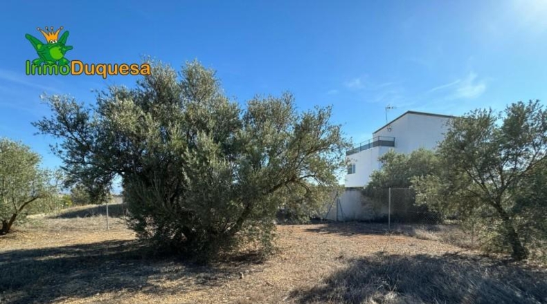 Guadalajara - Ciruelas - 400m2