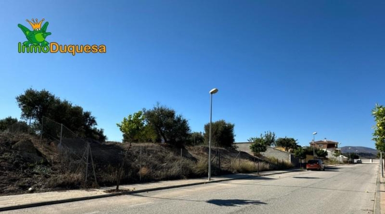 Guadalajara - Ciruelas - 400m2