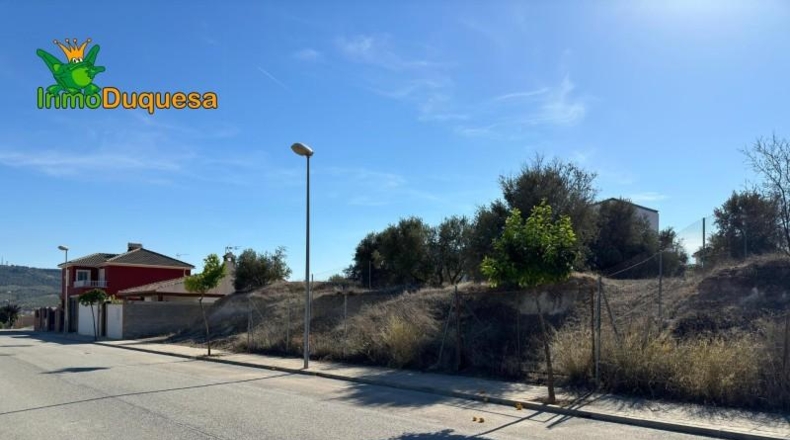 Guadalajara - Ciruelas - 400m2