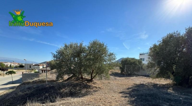 Guadalajara - Ciruelas - 400m2