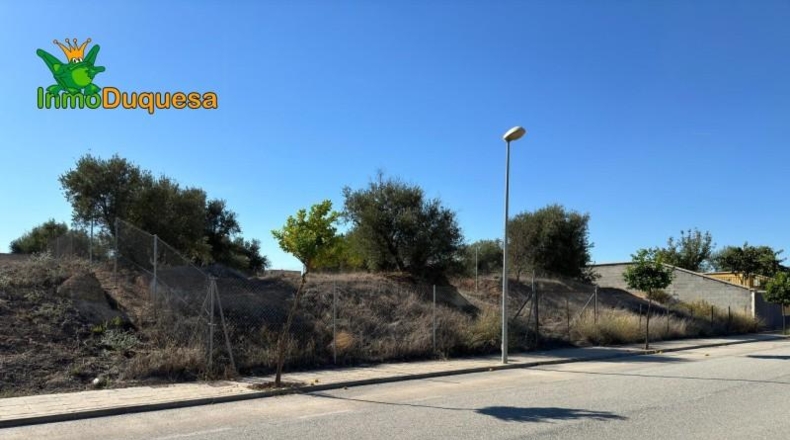 Guadalajara - Ciruelas - 400m2