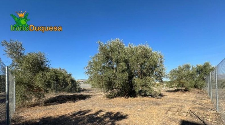 Guadalajara - Ciruelas - 400m2