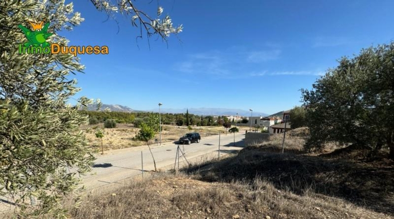 Guadalajara - Ciruelas - 400m2