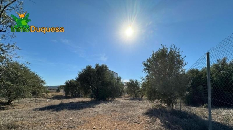 Guadalajara - Ciruelas - 400m2