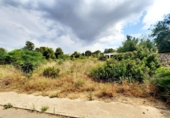 Suelo urbano en venta en la España, Alberic, ref: TR178282 foto