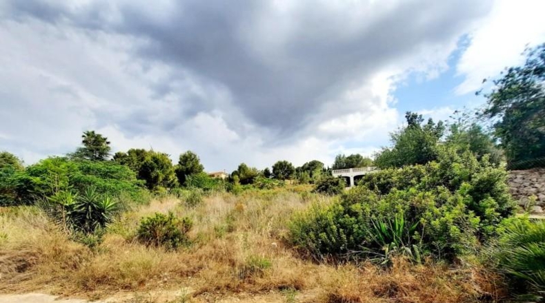 València - Alberique - 2500m2
