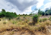 Suelo urbano en venta en la España, Alberic, ref: TR178282 foto