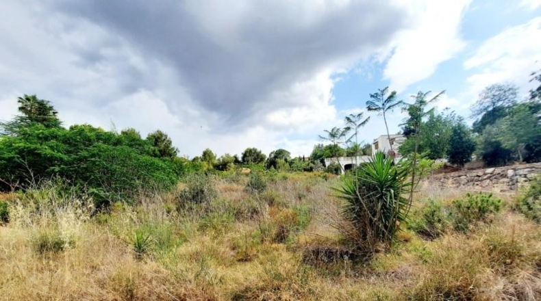 València - Alberique - 2500m2