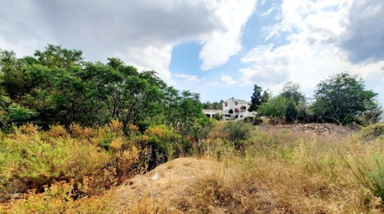 València - Alberique - 2500m2