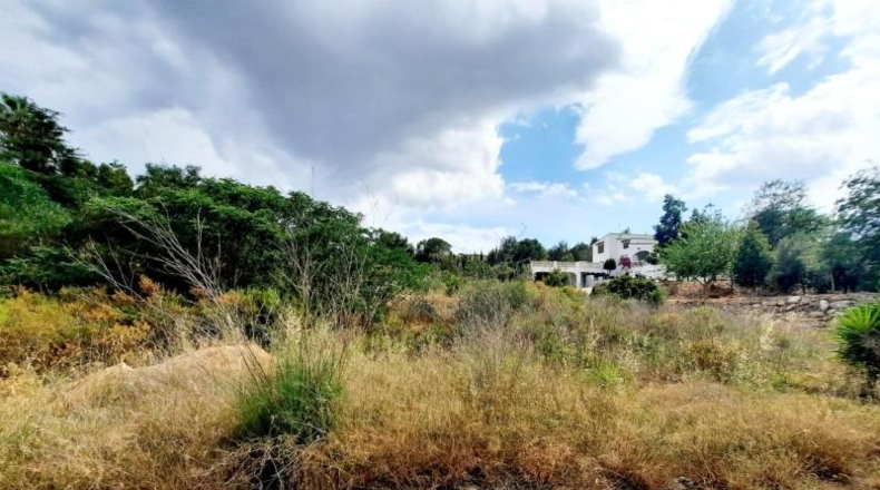 València - Alberique - 2500m2