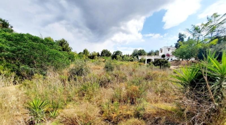 València - Alberique - 2500m2