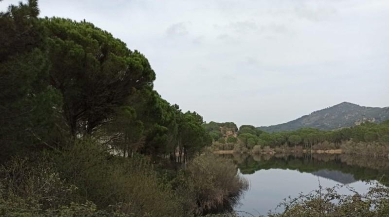 Córdoba - Córdoba - 1153m2