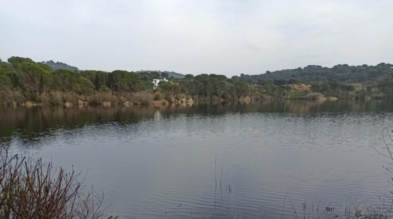 Córdoba - Córdoba - 1153m2