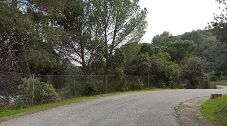 Córdoba - Córdoba - 1153m2