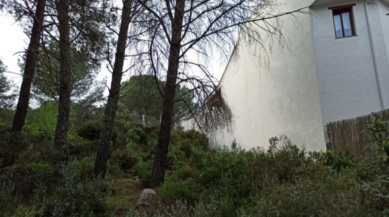 Córdoba - Córdoba - 1153m2