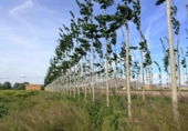 Terreno no urbanizable en venta en la España, Fuente Vaqueros, ref: TR409493 foto
