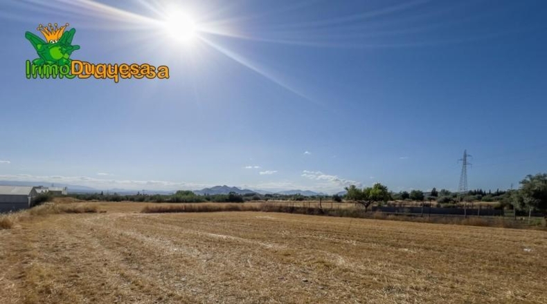 Granada - Jun - 7754m2