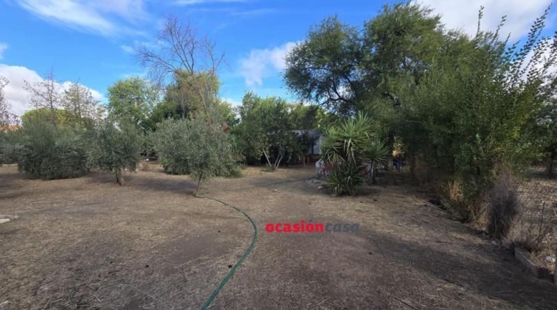 Córdoba - Peñarroya-Pueblonuevo - 2727m2