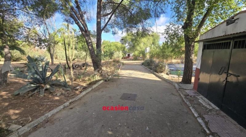 Córdoba - Peñarroya-Pueblonuevo - 2727m2